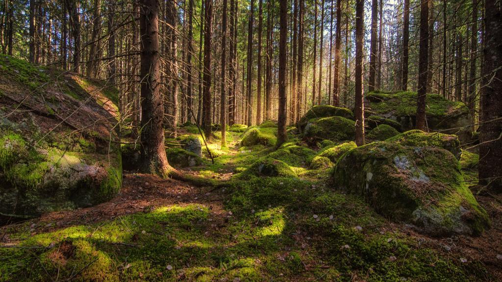 Faerna Herrgard & Spa Eksteriør billede